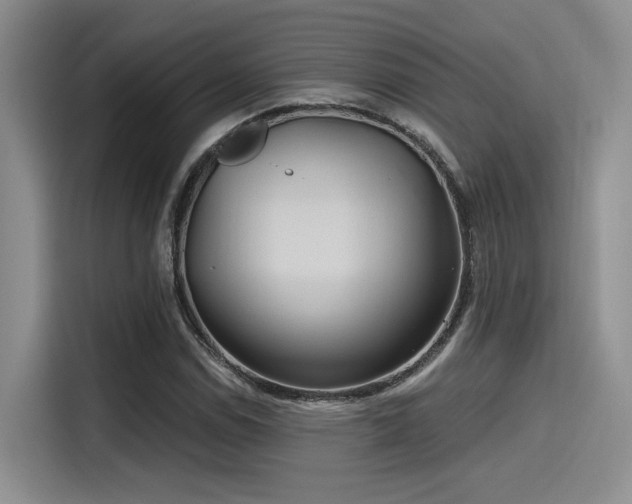 X0000115491114200911131230