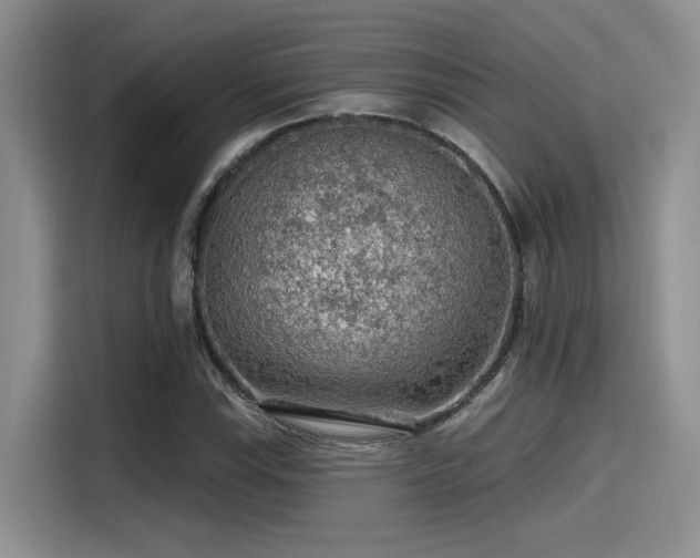X0000115491115200911131230