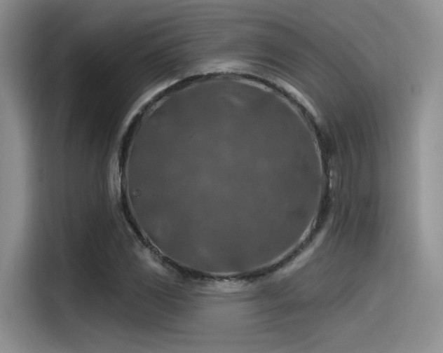 X0000115491117200911131230