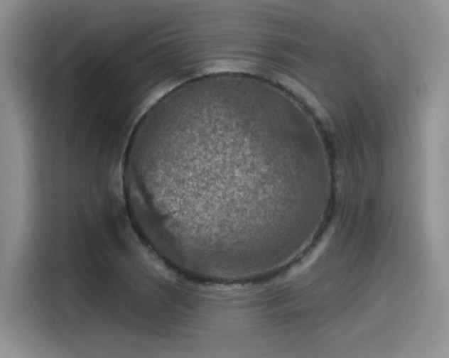 X0000115491121200911131230