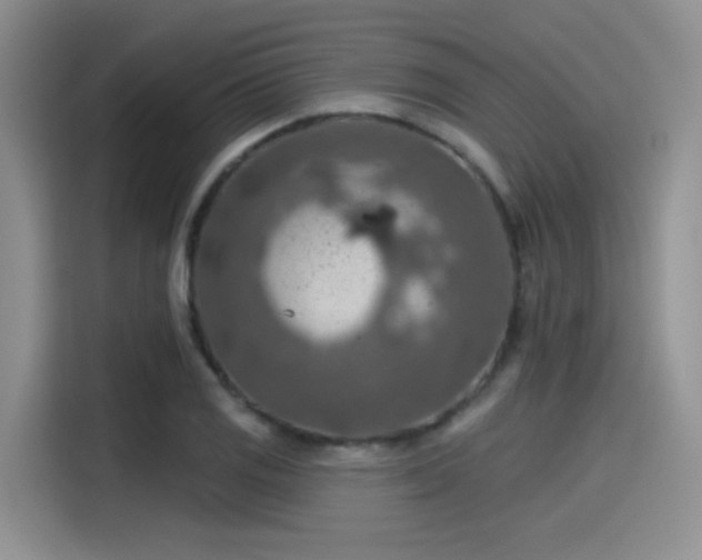 X0000115491125200911131230