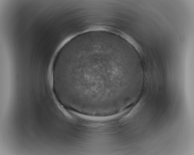 X0000115491127200911131230