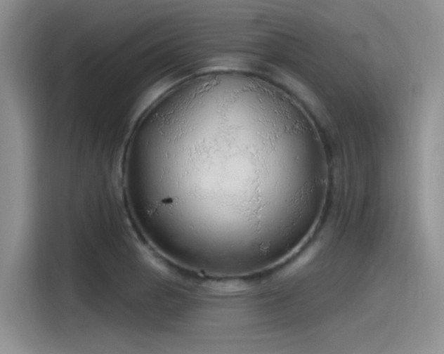 X0000115491129200911131230