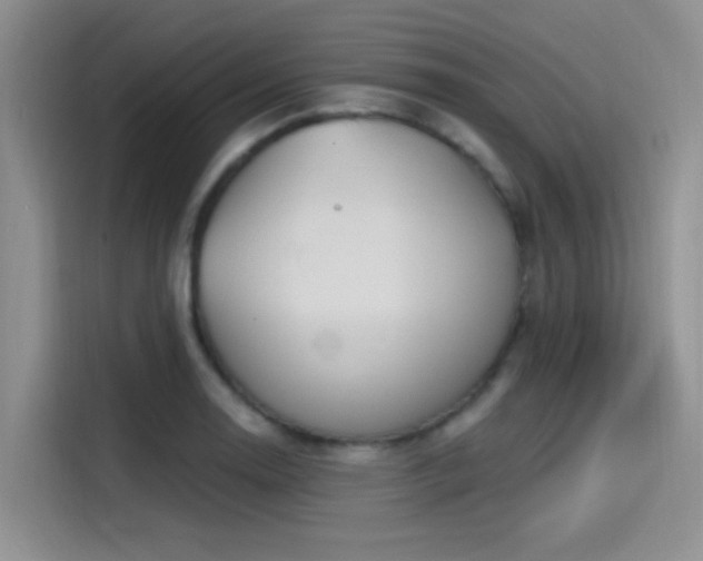 X0000115491130200911131230