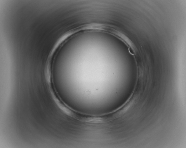 X0000115491131200911131230