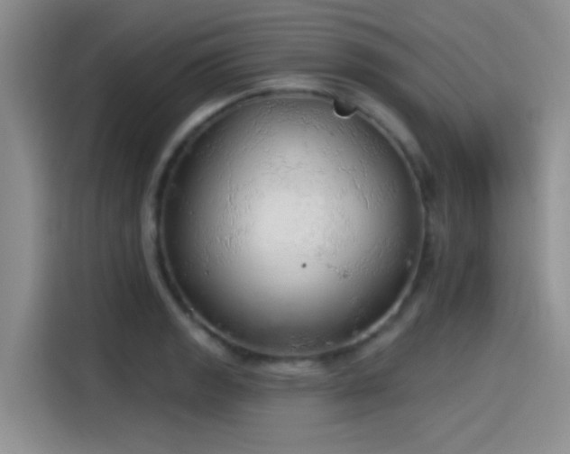 X0000115491133200911131230