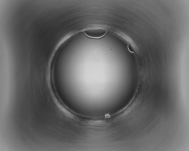 X0000115491135200911131230