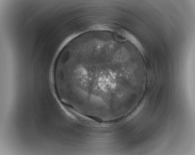 X0000115491141200911131230