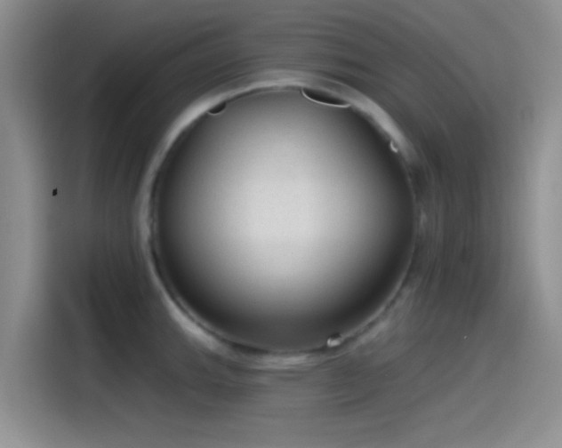 X0000115491143200911131230