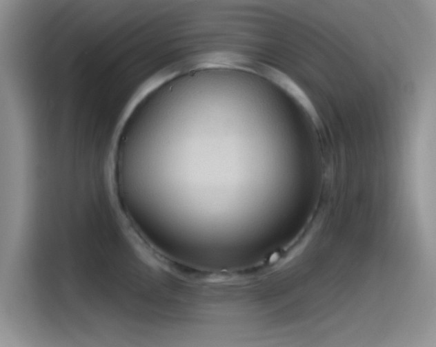 X0000115491146200911131230
