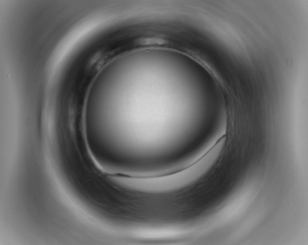 X0000115491151200911131230