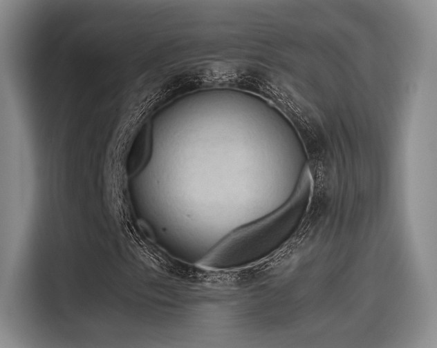 X0000115491153200911131230