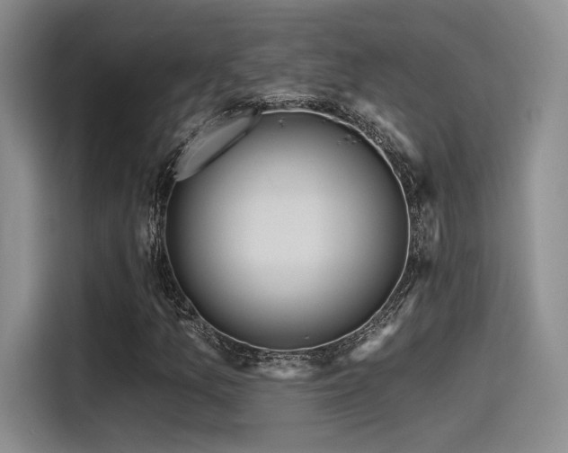 X0000115491157200911131230