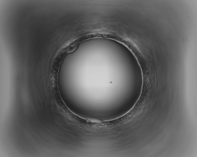 X0000115491159200911131230