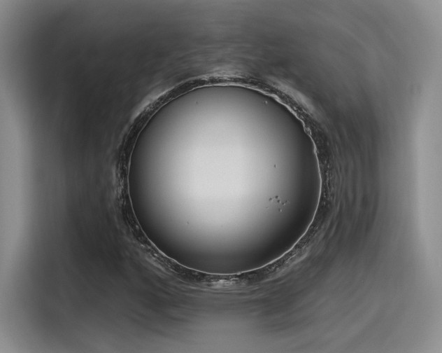 X0000115491160200911131230