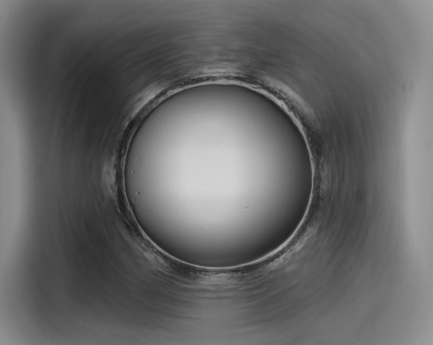 X0000115491162200911131230