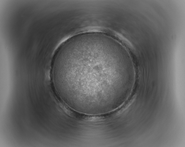 X0000115491166200911131230