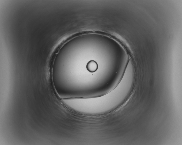 X0000115491167200911131229