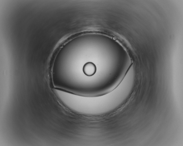 X0000115491168200911131229