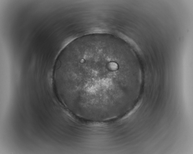 X0000115491170200911131229