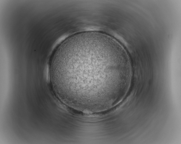 X0000115491171200911131229