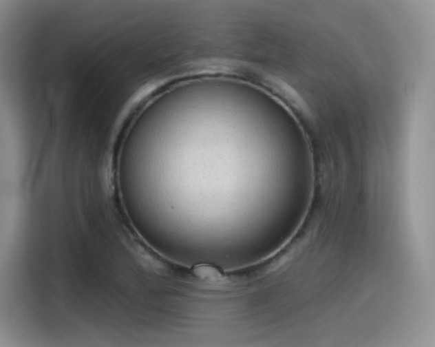 X0000115491172200911131229