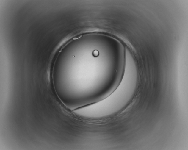 X0000115491173200911131229