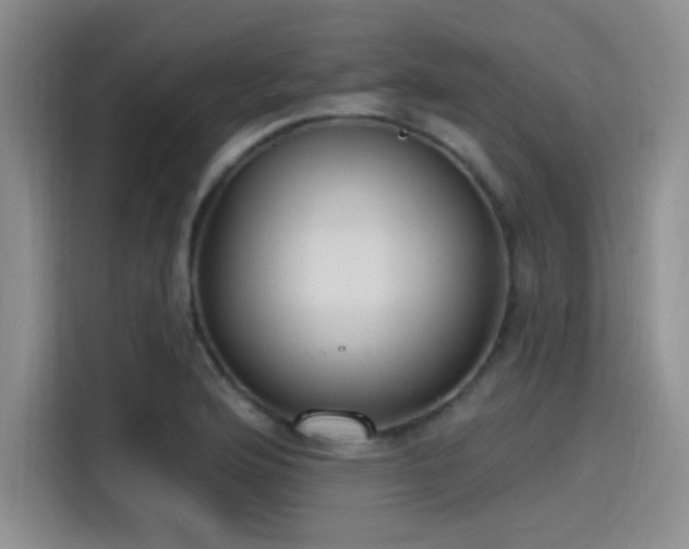X0000115491176200911131229