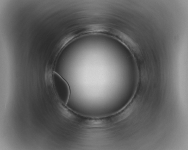 X0000115491177200911131229