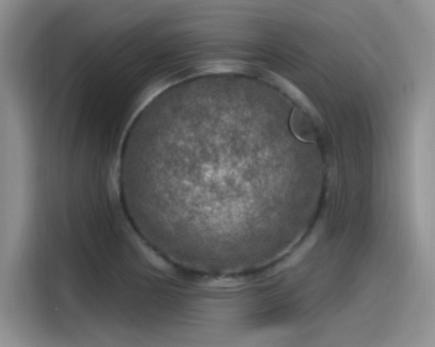 X0000115491178200911131229