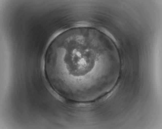 X0000115491179200911131229