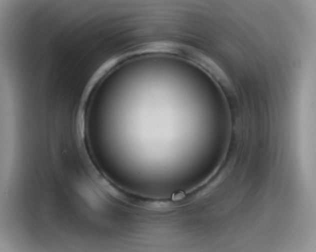 X0000115491180200911131229