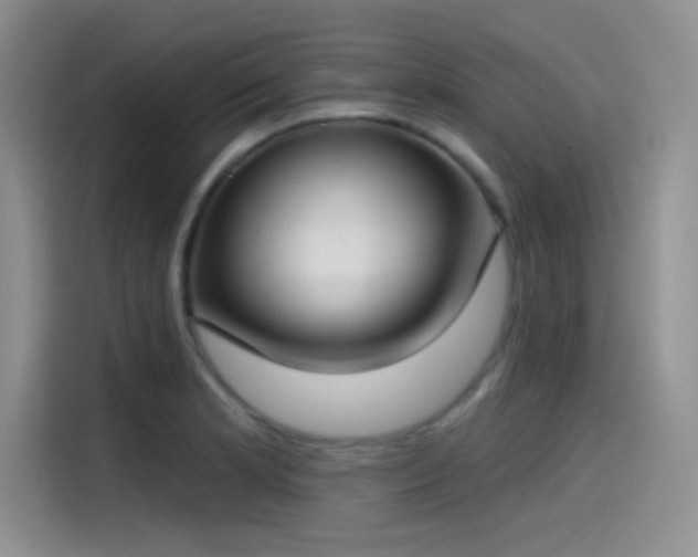 X0000115491181200911131229