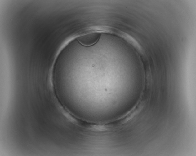 X0000115491182200911131229