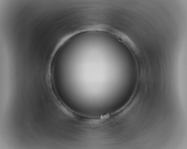 X0000115491184200911131229