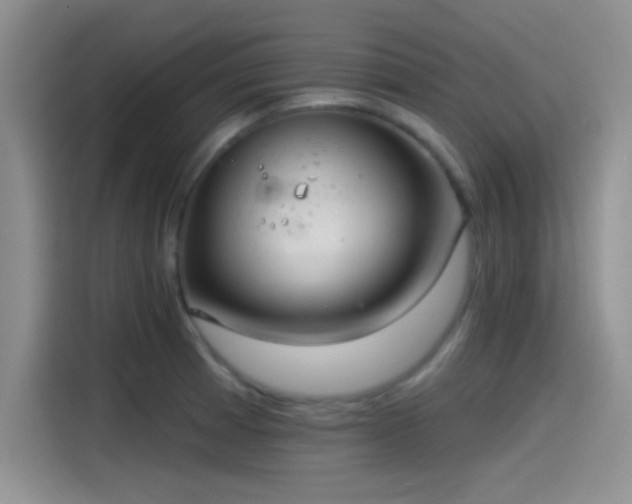 X0000115491185200911131229