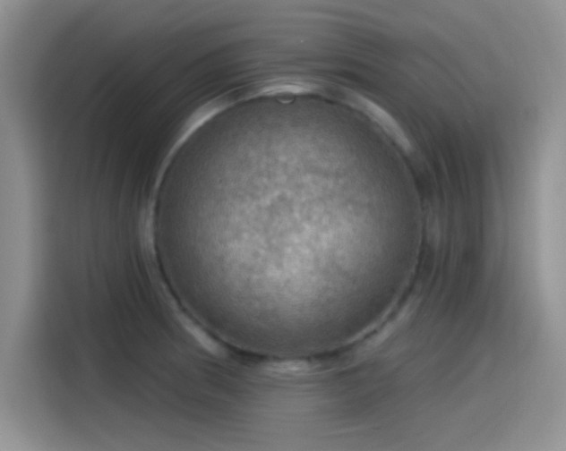 X0000115491186200911131229