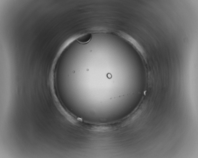 X0000115491187200911131229