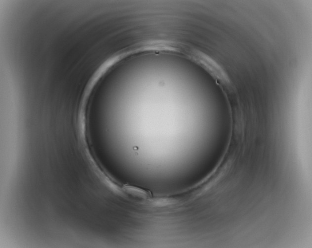 X0000115491188200911131229