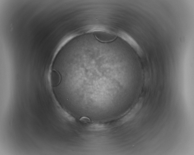 X0000115491190200911131229