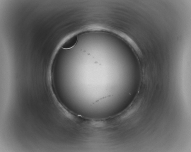 X0000115491191200911131229