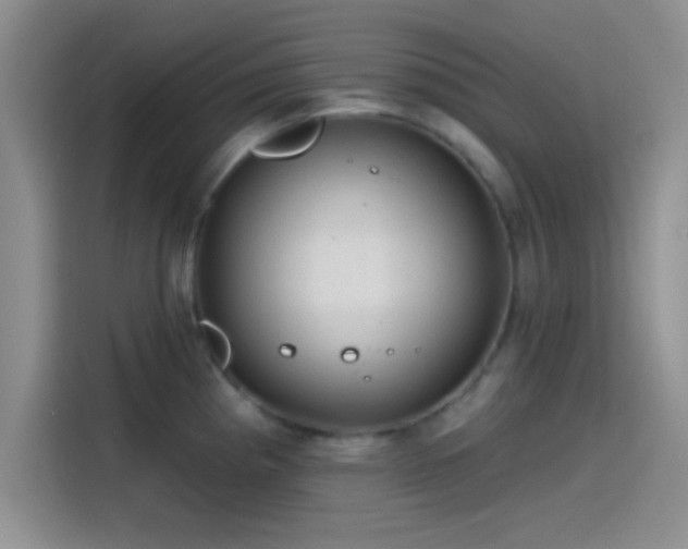 X0000115491193200911131229
