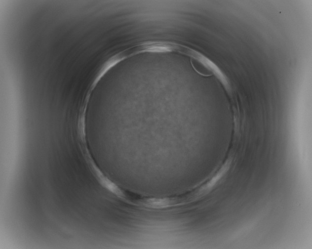 X0000115491194200911131229