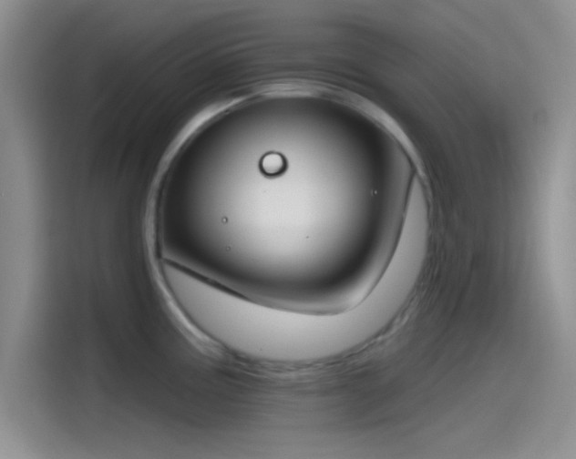X0000115491195200911131229