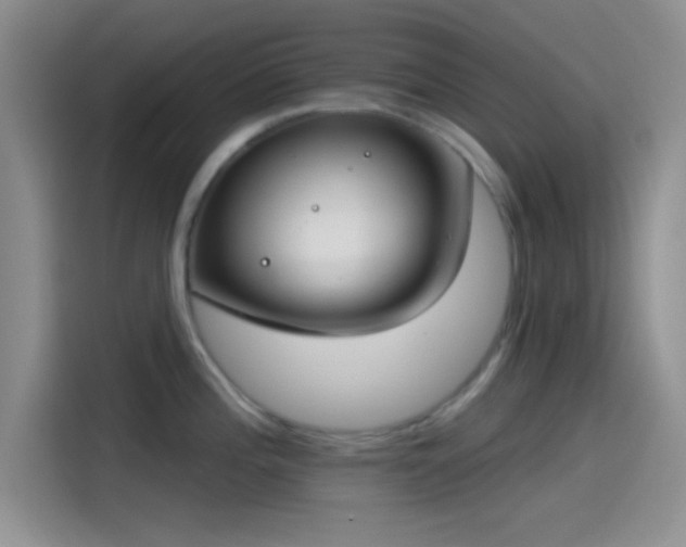 X0000115491196200911131229