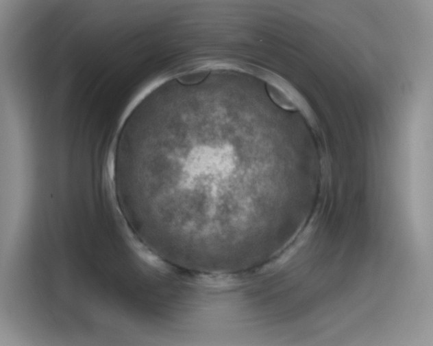 X0000115491198200911131229