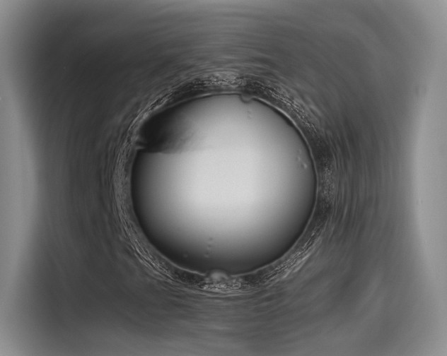 X0000115491201200911131228