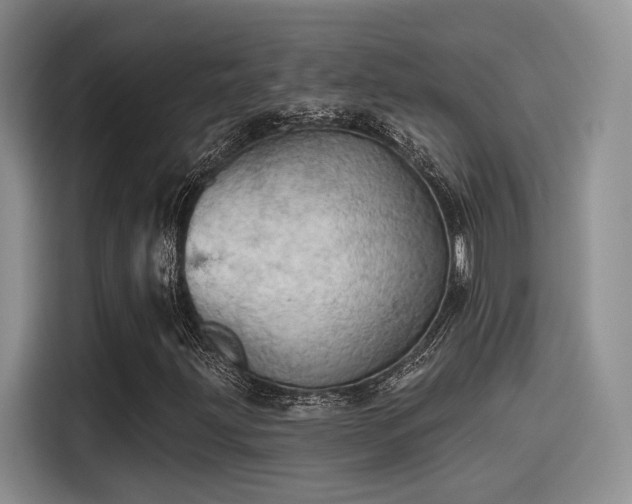 X0000115491203200911131228