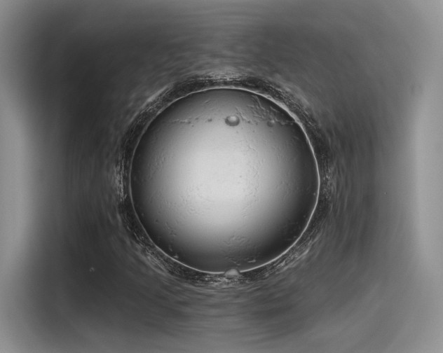 X0000115491205200911131228