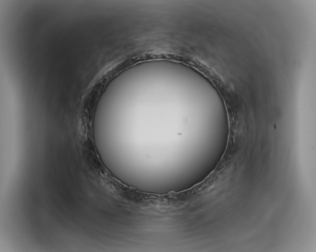 X0000115491207200911131229